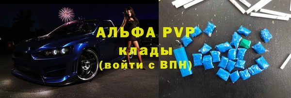 прущие грибы Баксан