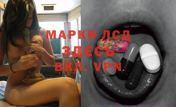 прущие грибы Баксан
