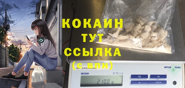 прущие грибы Баксан