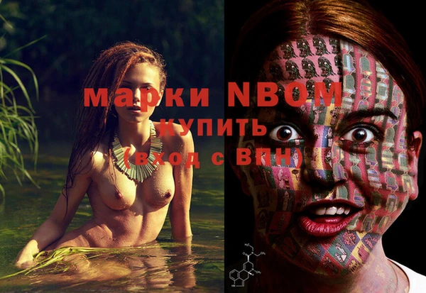 прущие грибы Баксан