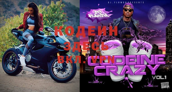 прущие грибы Баксан